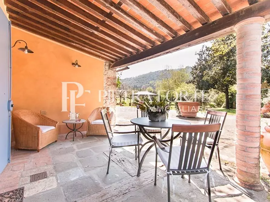 Immagine 57 di Casa colonica in vendita  a Pietrasanta