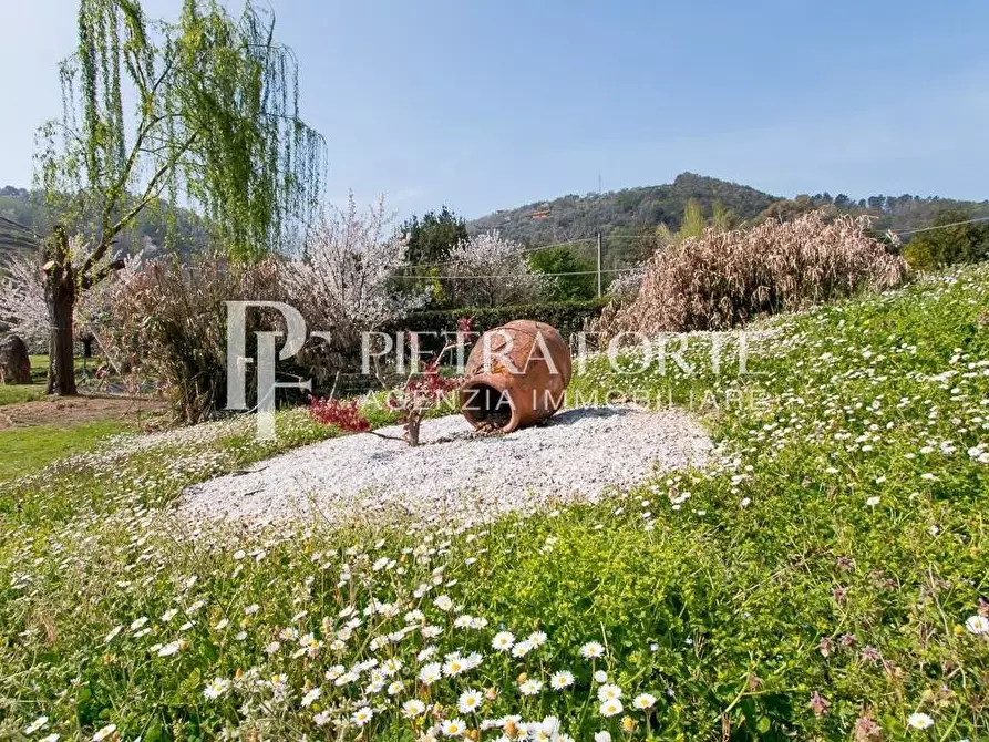 Immagine 47 di Casa colonica in vendita  a Pietrasanta