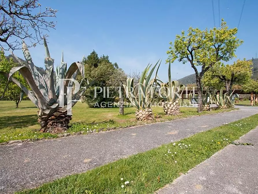 Immagine 31 di Casa colonica in vendita  a Pietrasanta