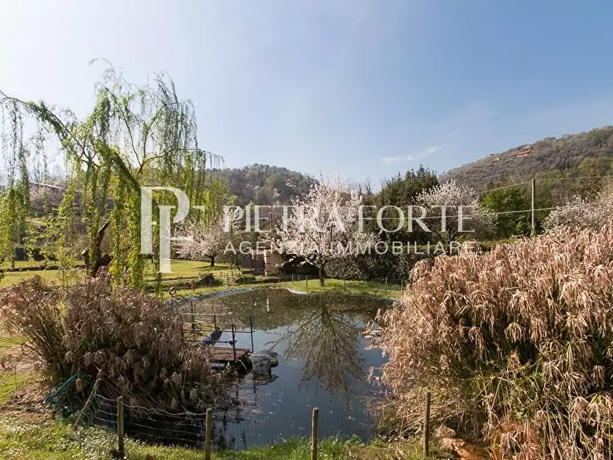 Immagine 113 di Casa colonica in vendita  a Pietrasanta