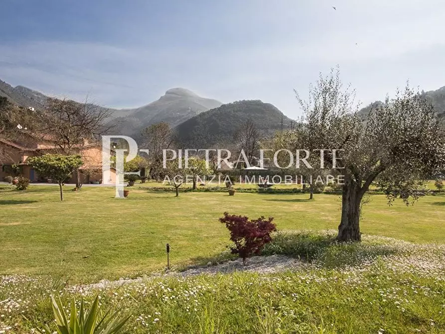 Immagine 68 di Casa colonica in vendita  a Pietrasanta