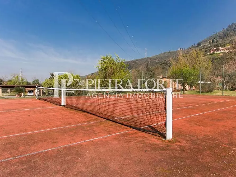Immagine 99 di Casa colonica in vendita  a Pietrasanta