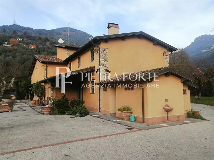 Immagine 115 di Casa colonica in vendita  a Pietrasanta