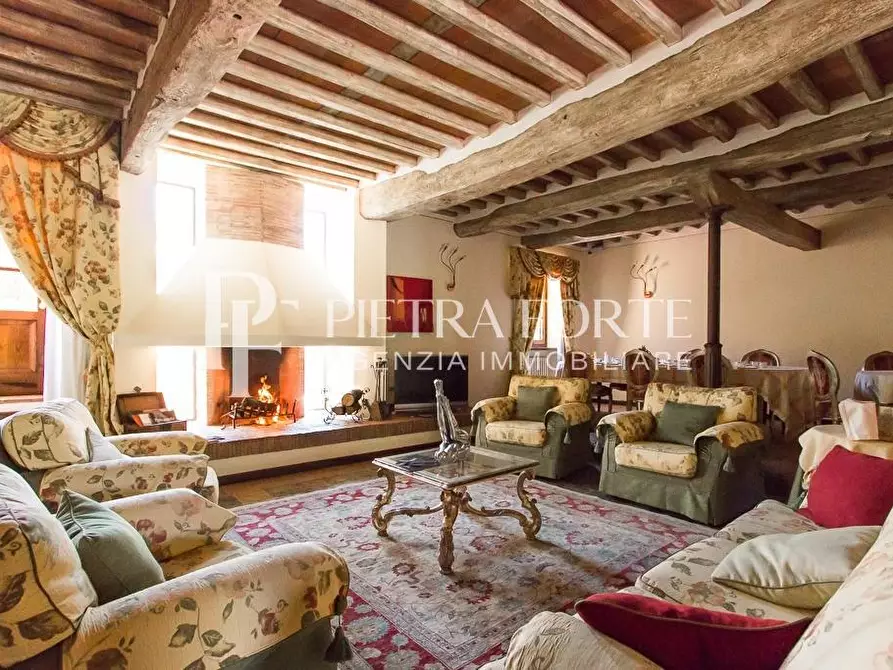 Immagine 60 di Casa colonica in vendita  a Pietrasanta