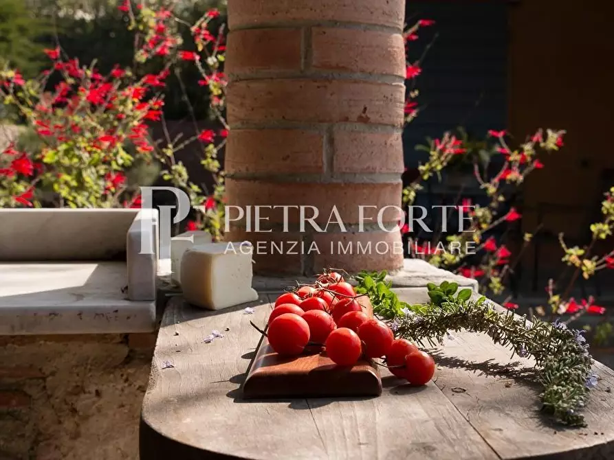 Immagine 85 di Casa colonica in vendita  a Pietrasanta