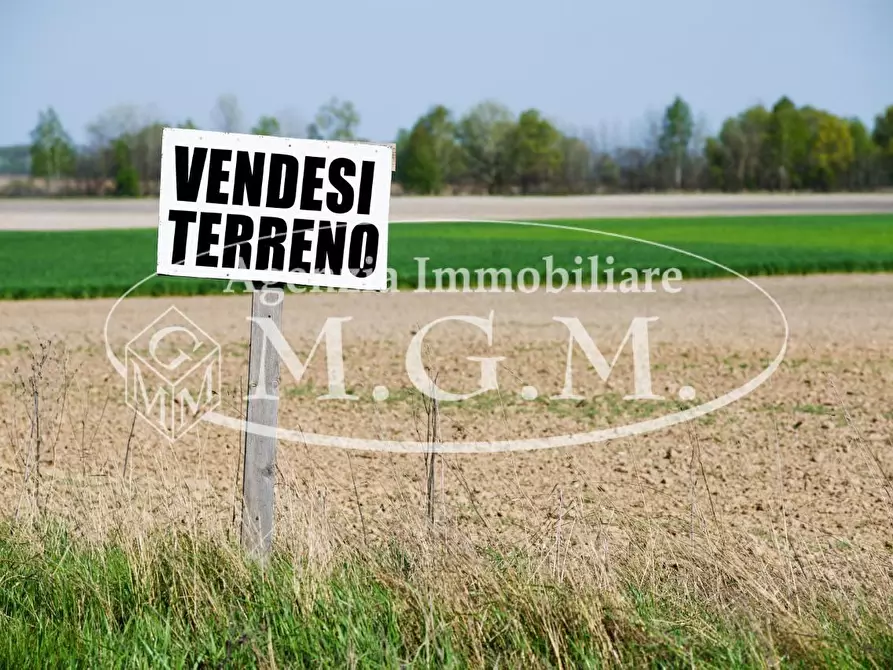 Immagine 1 di Terreno agricolo in vendita  a Santa Maria A Monte