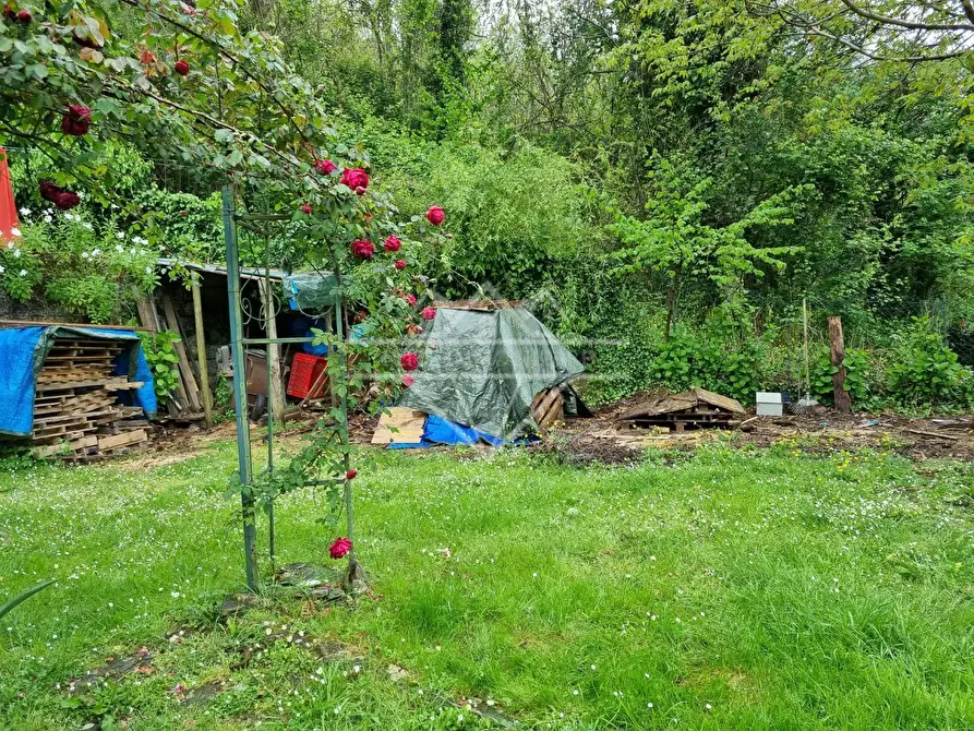 Immagine 9 di Casa indipendente in vendita  a Massa