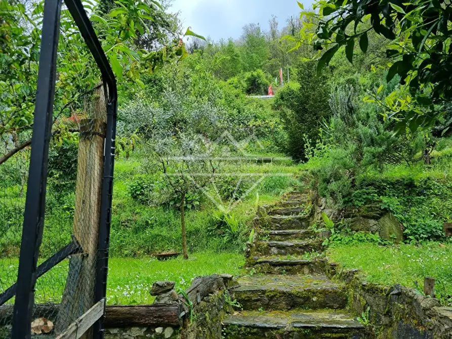 Immagine 4 di Casa indipendente in vendita  a Massa