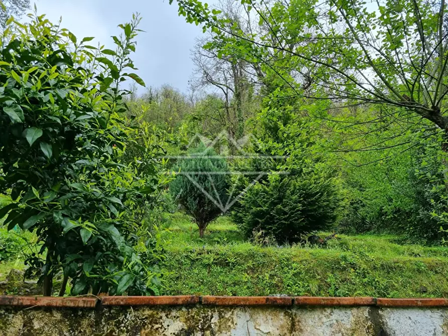 Immagine 5 di Casa indipendente in vendita  a Massa