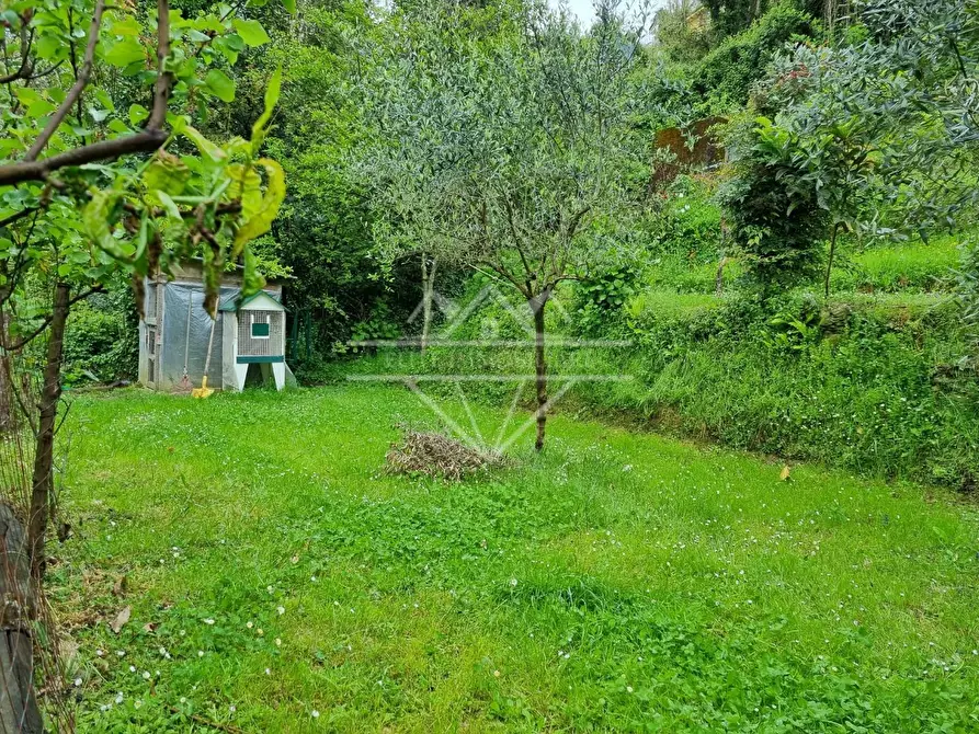 Immagine 6 di Casa indipendente in vendita  a Massa
