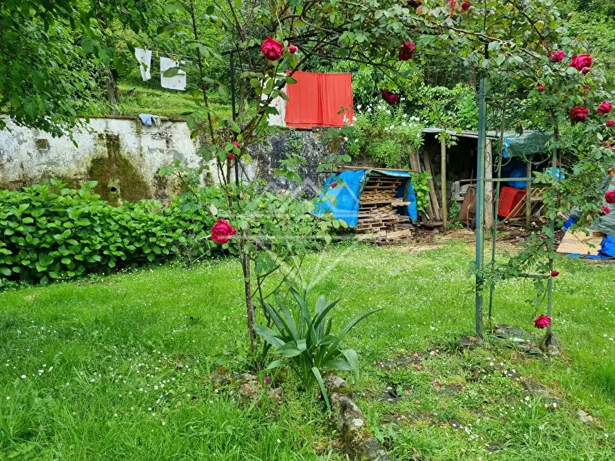 Immagine 10 di Casa indipendente in vendita  a Massa