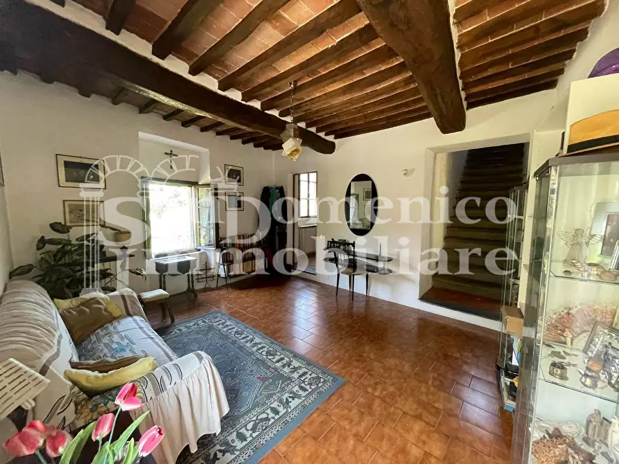 Immagine 33 di Villa in vendita  a Calci