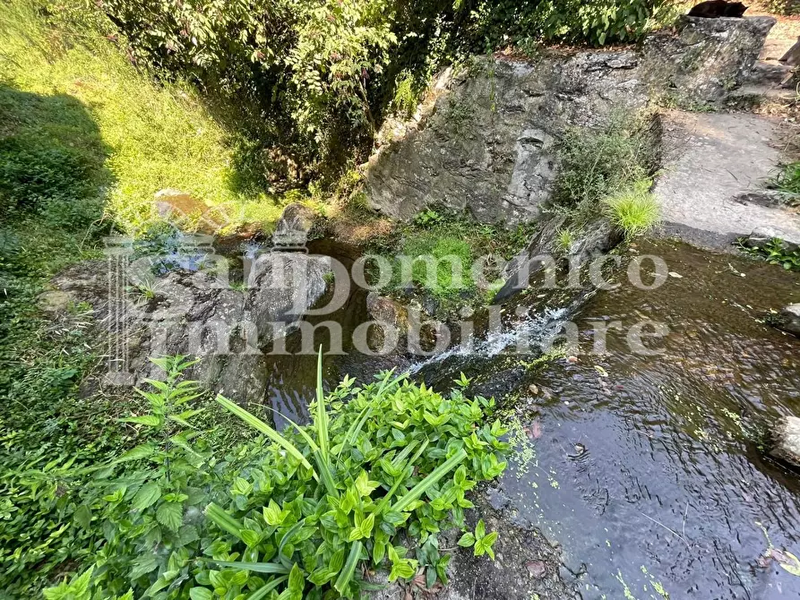 Immagine 14 di Villa in vendita  a Calci