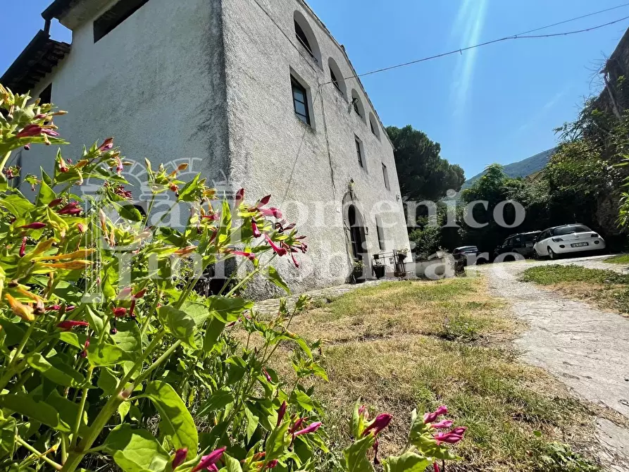 Immagine 7 di Villa in vendita  a Calci