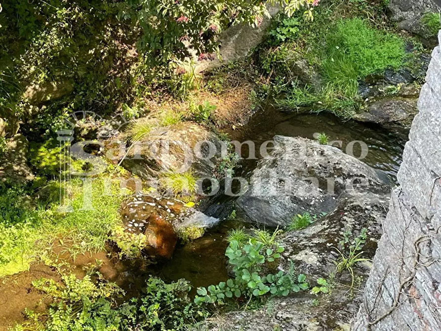 Immagine 60 di Villa in vendita  a Calci