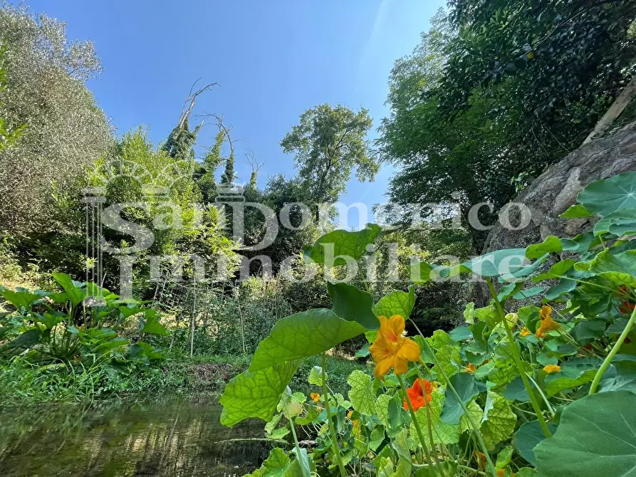 Immagine 61 di Villa in vendita  a Calci