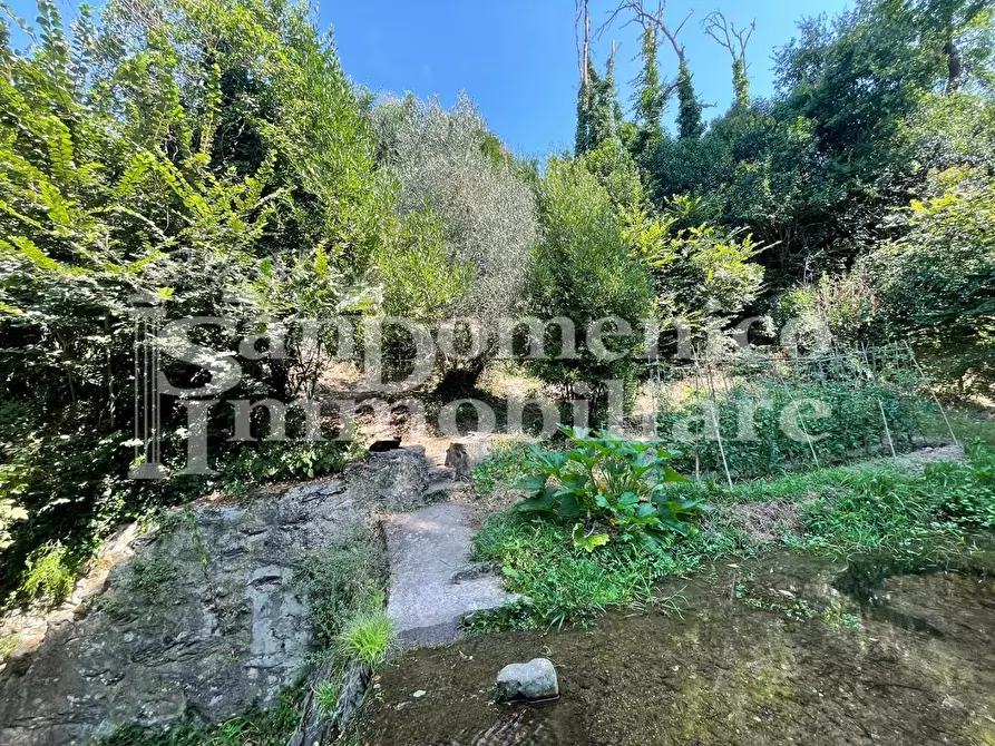 Immagine 16 di Villa in vendita  a Calci