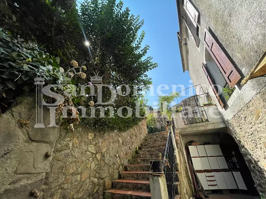 Immagine 13 di Villa in vendita  a Calci