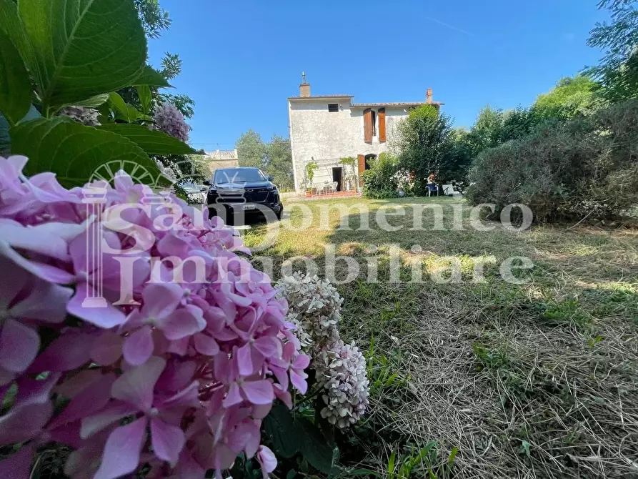 Immagine 9 di Villa in vendita  a Calci