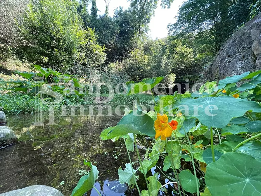 Immagine 71 di Villa in vendita  a Calci