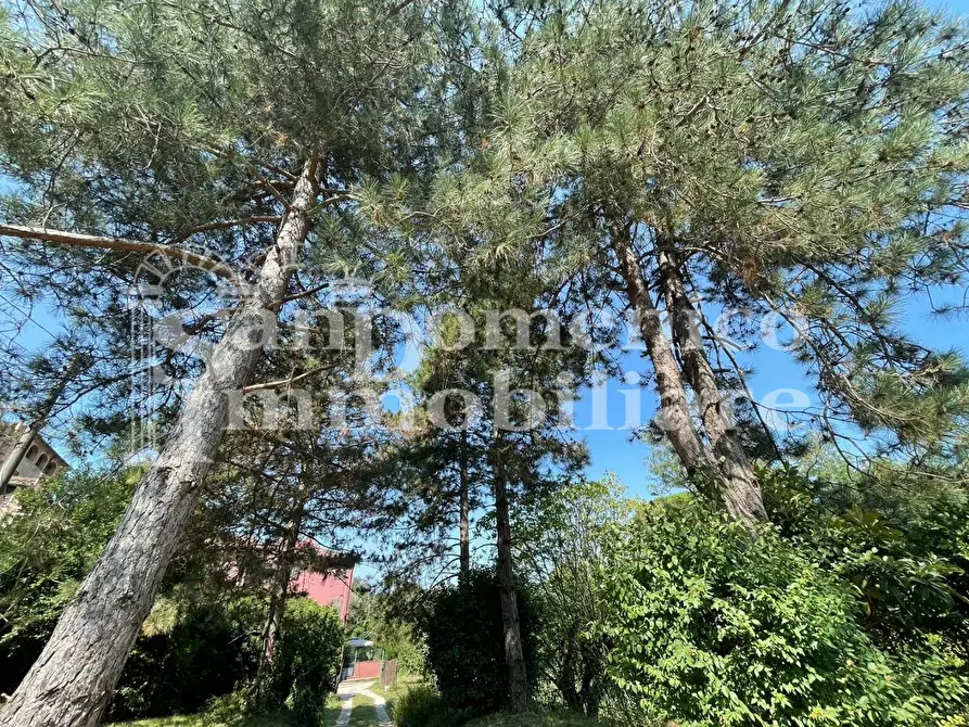 Immagine 5 di Villa in vendita  a Calci