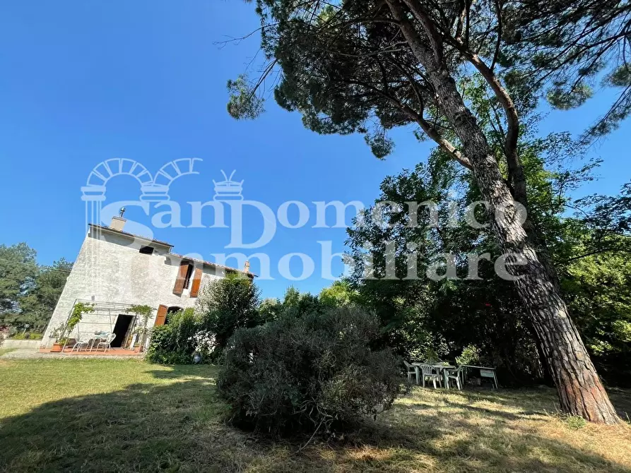 Immagine 8 di Villa in vendita  a Calci