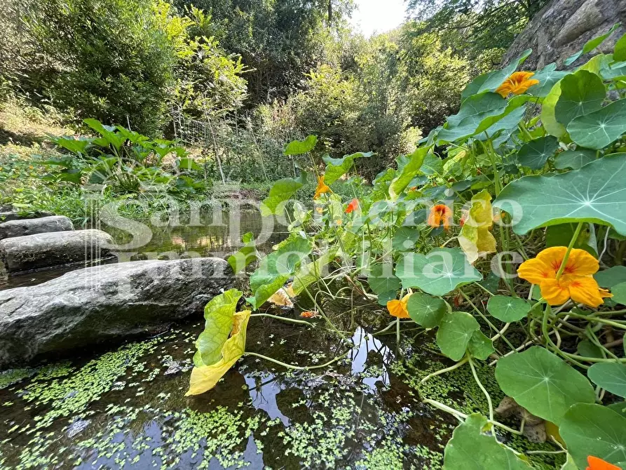 Immagine 1 di Villa in vendita  a Calci