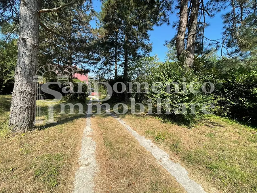 Immagine 4 di Villa in vendita  a Calci