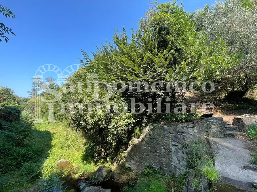 Immagine 17 di Villa in vendita  a Calci