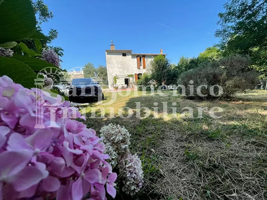 Immagine 10 di Villa in vendita  a Calci