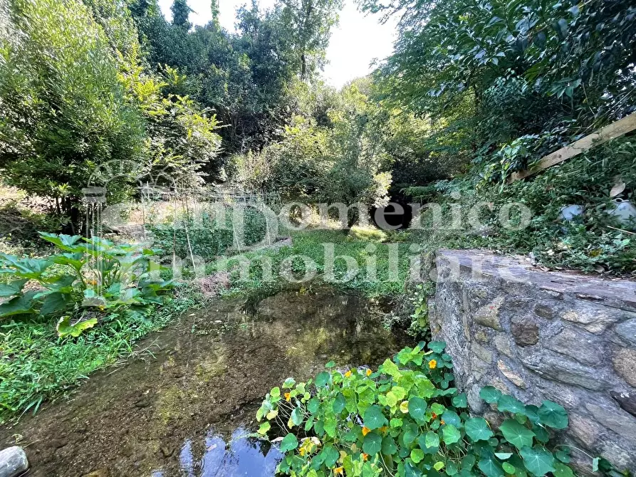 Immagine 15 di Villa in vendita  a Calci