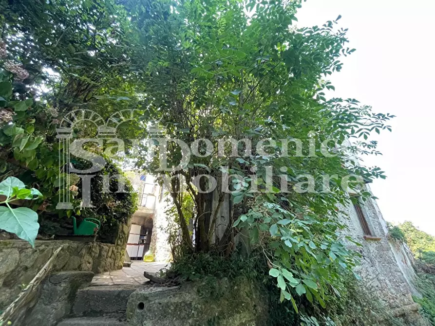 Immagine 19 di Villa in vendita  a Calci