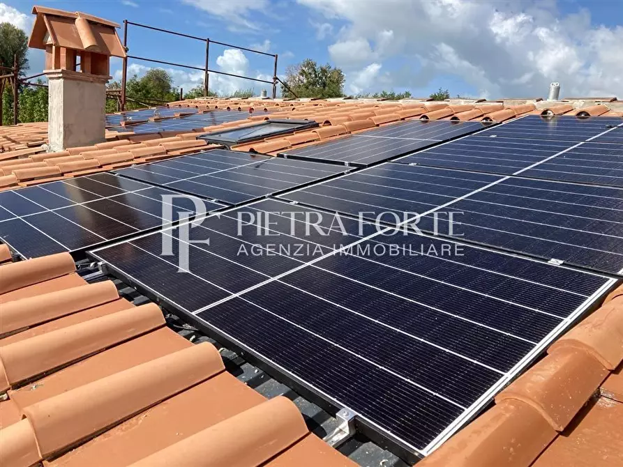 Immagine 6 di Rustico / casale in vendita  a Pietrasanta