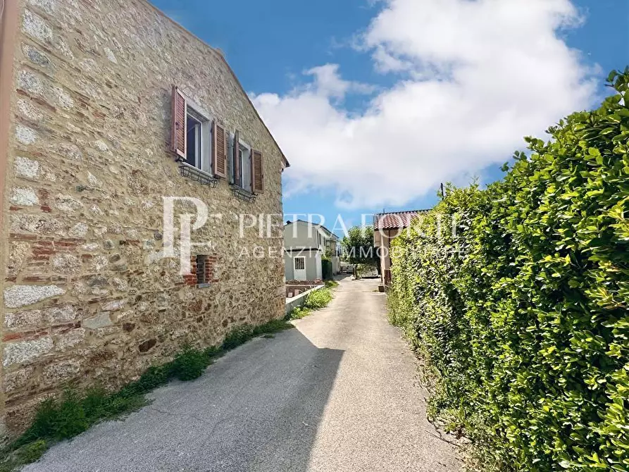 Immagine 5 di Rustico / casale in vendita  a Pietrasanta