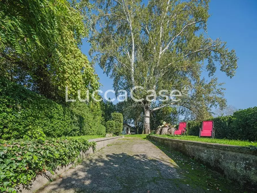 Immagine 48 di Rustico / casale in vendita  a Capannori