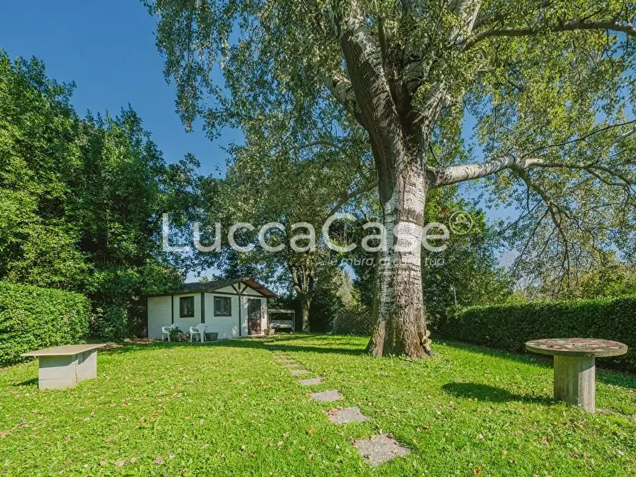 Immagine 49 di Rustico / casale in vendita  a Capannori