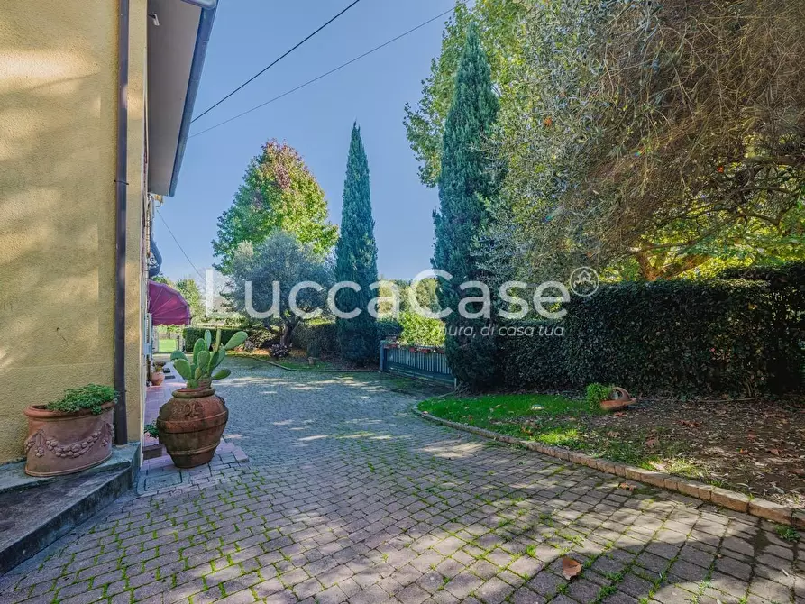 Immagine 42 di Rustico / casale in vendita  a Capannori