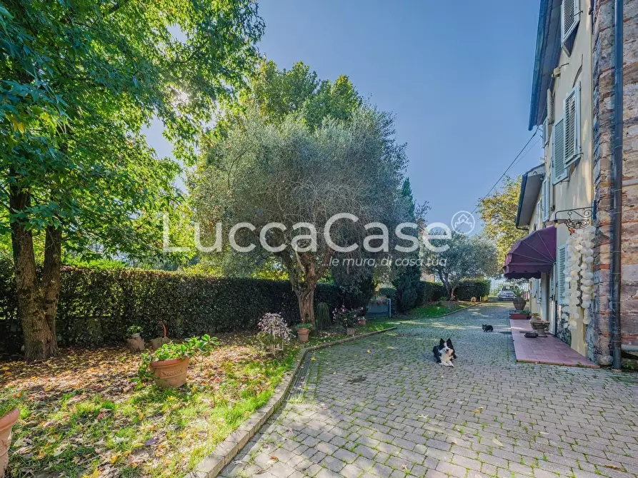 Immagine 43 di Rustico / casale in vendita  a Capannori