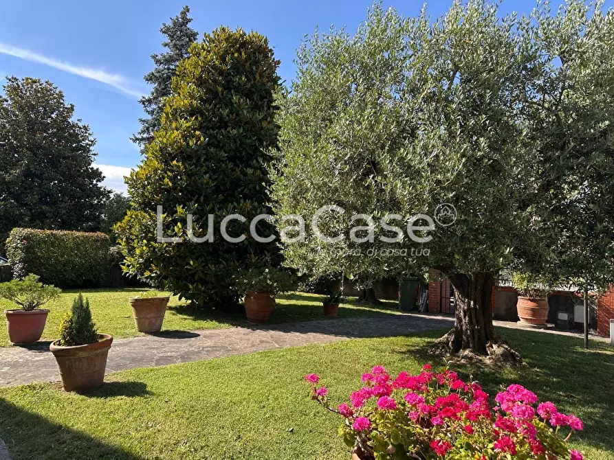 Immagine 2 di Villa in vendita  a Capannori