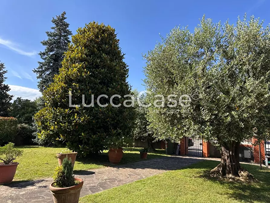 Immagine 26 di Villa in vendita  a Capannori