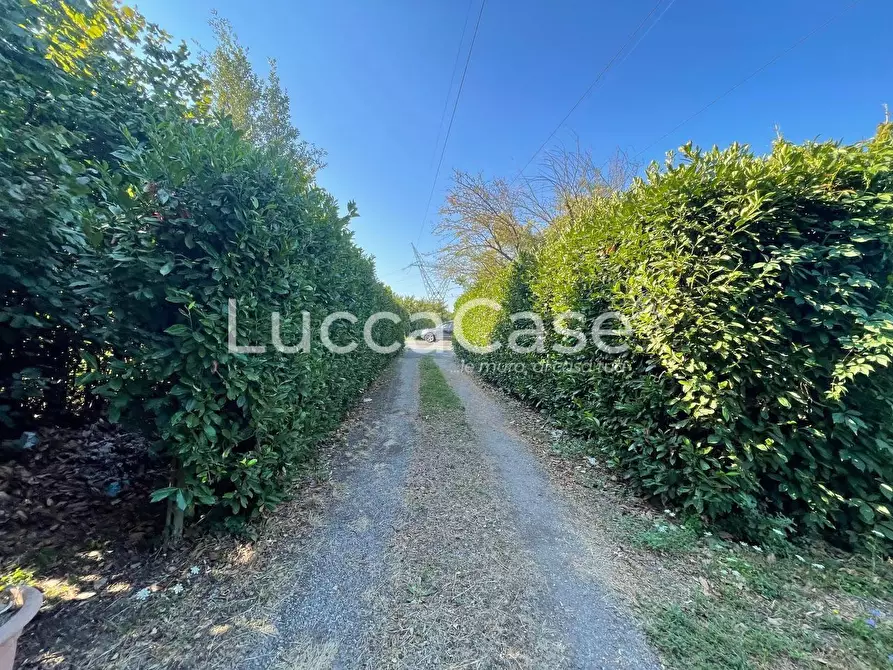 Immagine 22 di Villa in vendita  a Capannori