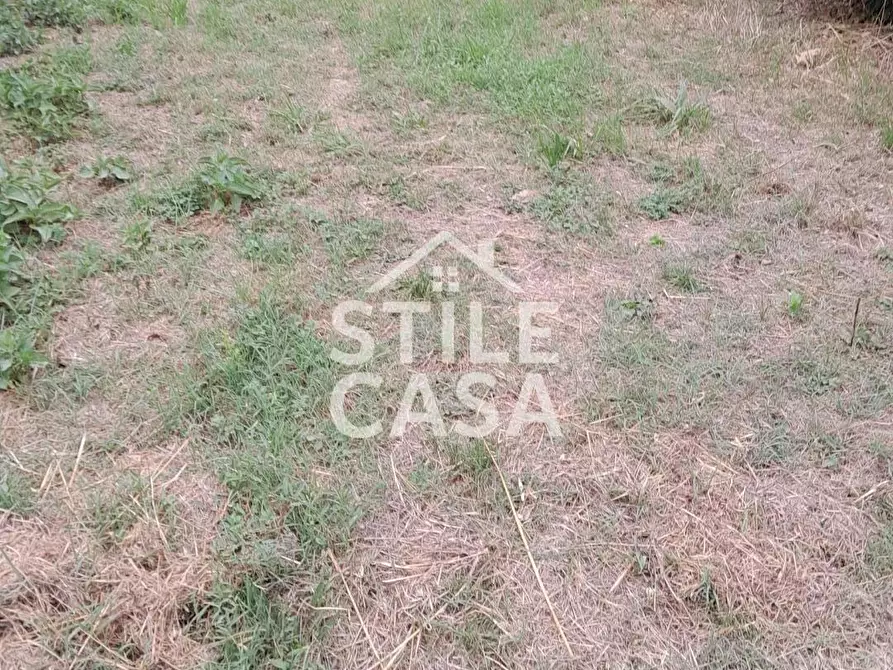 Immagine 2 di Terratetto in vendita  a Castelfranco Di Sotto