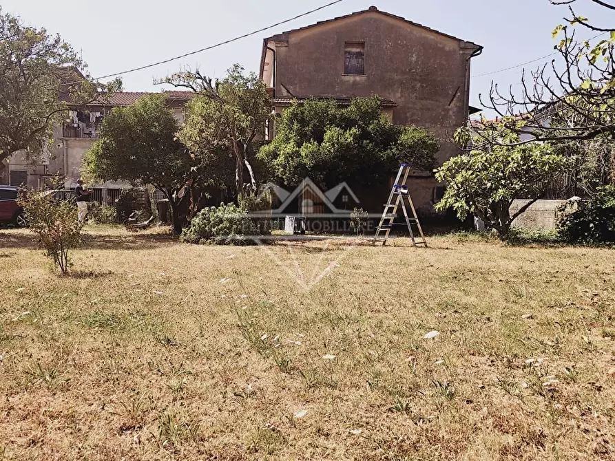 Immagine 3 di Terratetto in vendita  a Massa