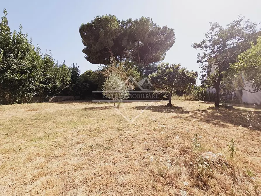 Immagine 22 di Terratetto in vendita  a Massa