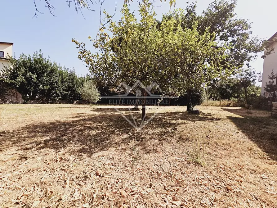 Immagine 21 di Terratetto in vendita  a Massa