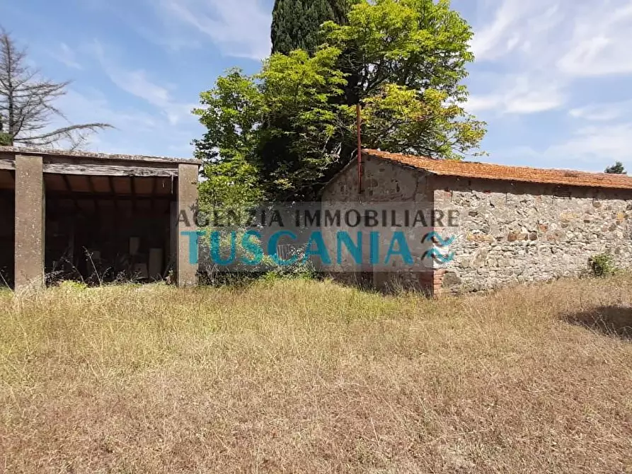 Immagine 18 di Casa colonica in vendita  a Pomarance