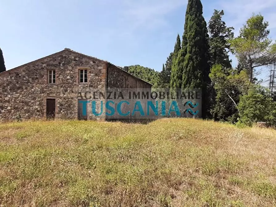 Immagine 15 di Casa colonica in vendita  a Pomarance