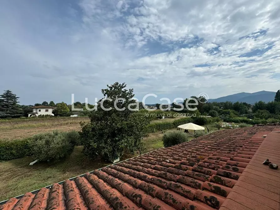Immagine 17 di Villa in vendita  a Lucca