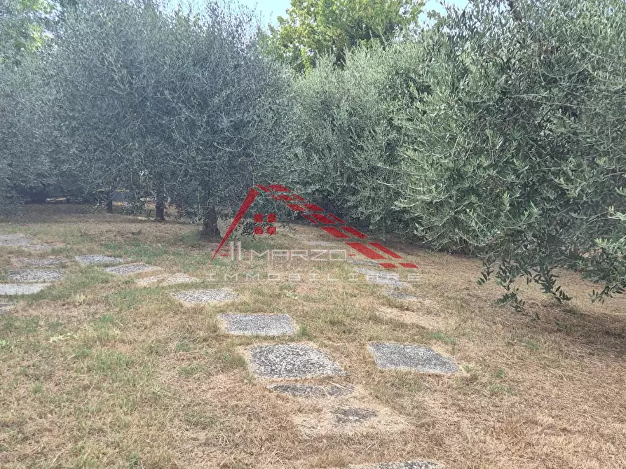 Immagine 7 di Terreno agricolo in vendita  a Casciana Terme Lari