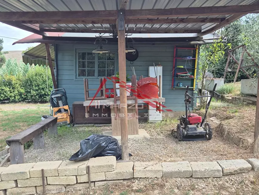 Immagine 2 di Terreno agricolo in vendita  a Casciana Terme Lari